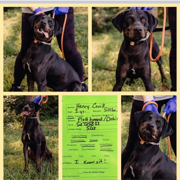 Hello! Thank you for visiting our closet! - Picture 7 of 10